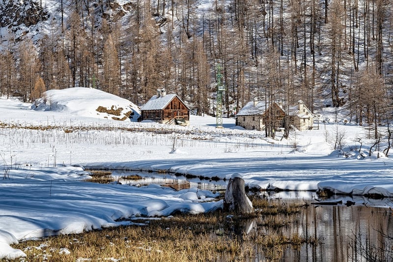 Writer's Cabin